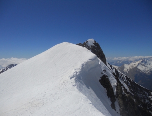 POSETS, JEAN ARLAUD, OTRA VEZ PIRINEO